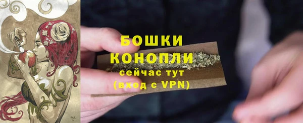 стафф Навашино