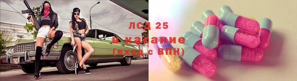стаф Нефтегорск