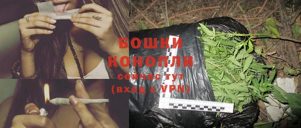 молекула духа Бронницы