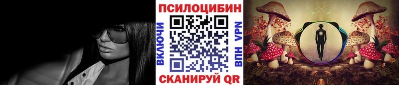 mega ТОР  Нарткала  Псилоцибиновые грибы Psilocybine cubensis 