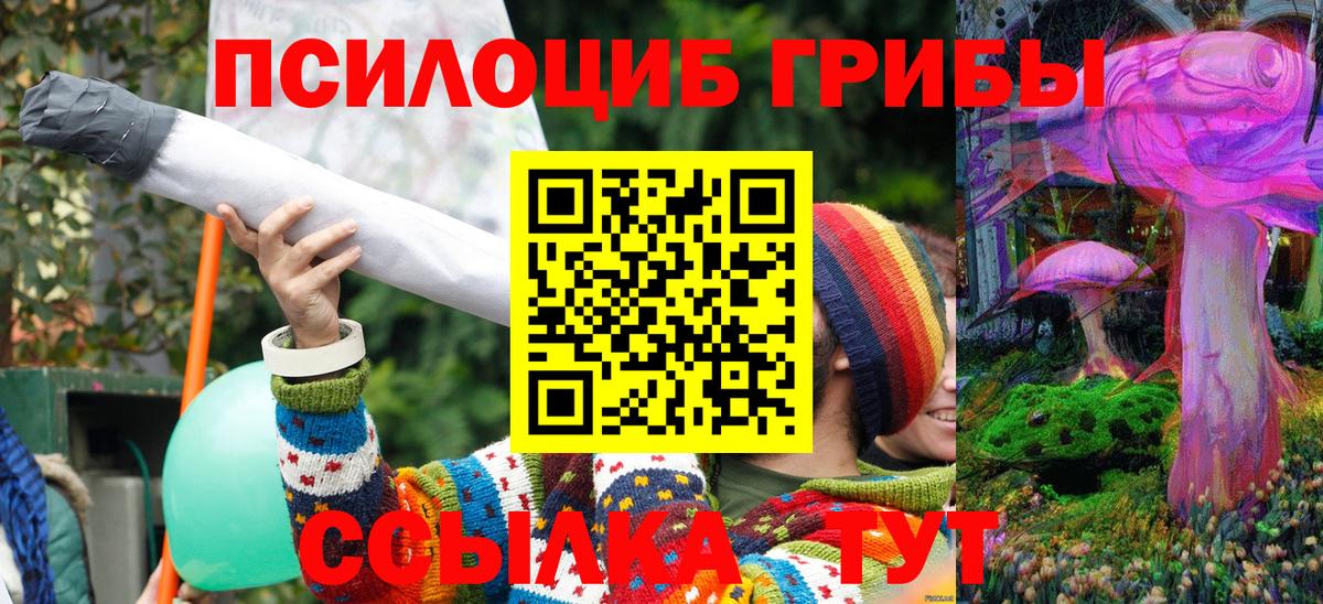 Нарткала  Галлюциногенные грибы мицелий  Вход с VPN  Псилоцибиновые грибы MAGIC MUSHROOMS 