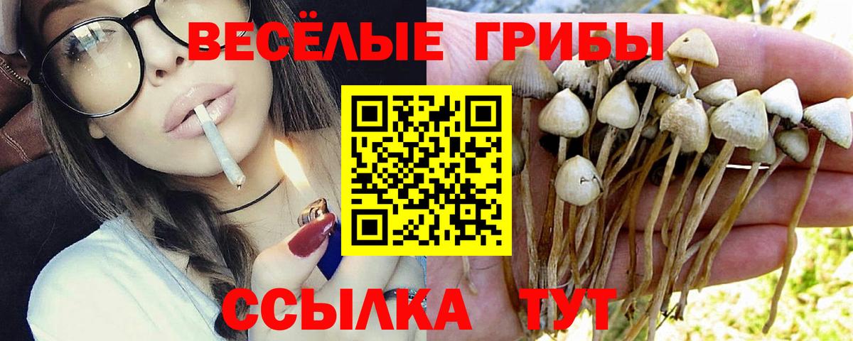 Галлюциногенные грибы мицелий Нарткала
